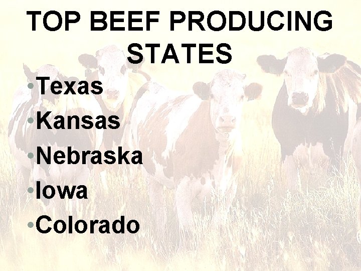 TOP BEEF PRODUCING STATES • Texas • Kansas • Nebraska • Iowa • Colorado