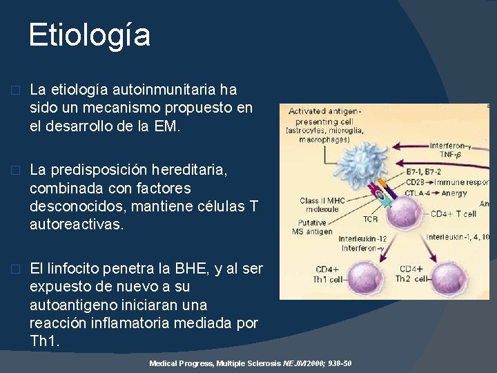 Etiología � La etiología autoinmunitaria ha sido un mecanismo propuesto en el desarrollo de