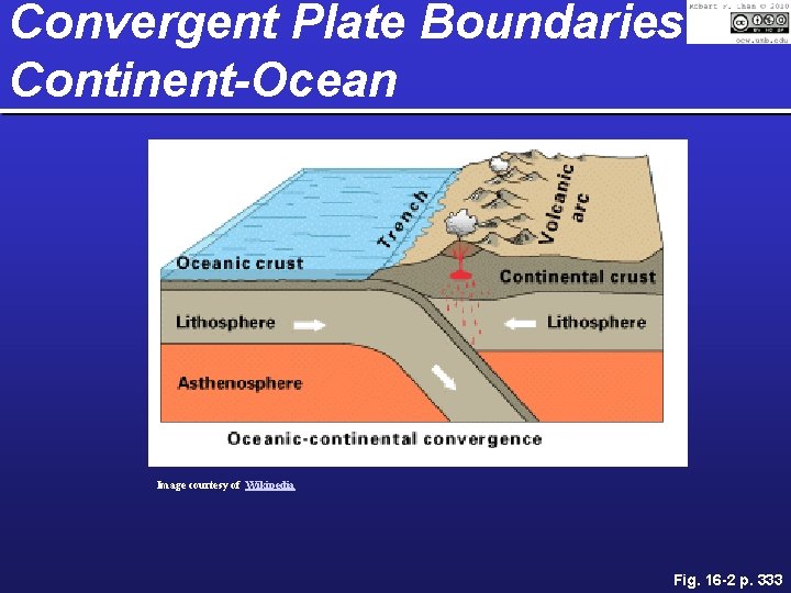 Convergent Plate Boundaries Continent-Ocean Image courtesy of Wikipedia Fig. 16 -2 p. 333 