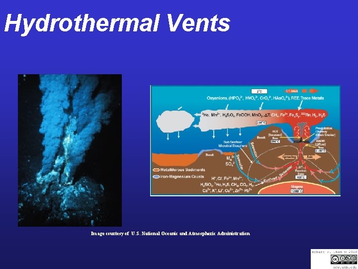 Hydrothermal Vents Image courtesy of U. S. National Oceanic and Atmospheric Administration 