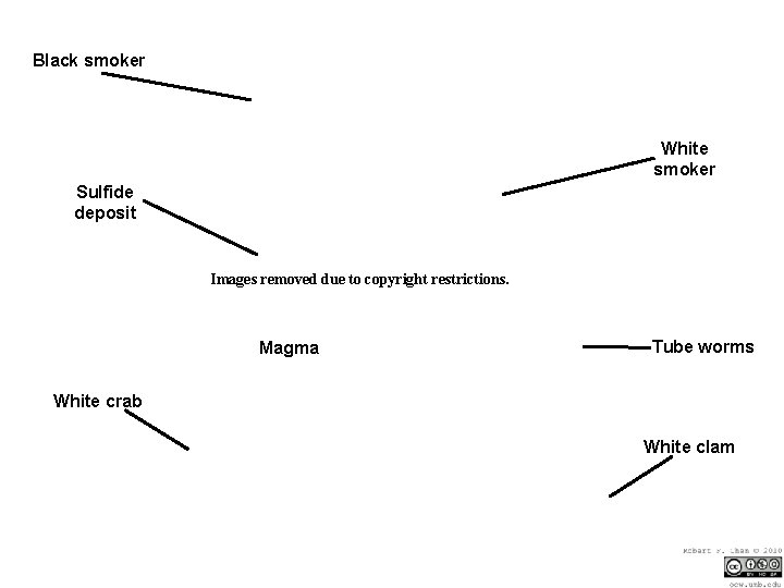 Black smoker White smoker Sulfide deposit Images removed due to copyright restrictions. Magma Tube