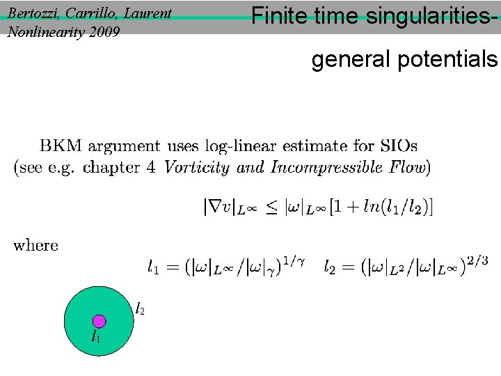 Bertozzi, Carrillo, Laurent Nonlinearity 2009 Finite time singularitiesgeneral potentials l 2 l 1 
