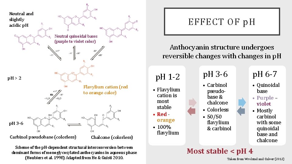 Neutral and slightly acidic p. H EFFECT OF p. H Neutral quinoidal bases (purple
