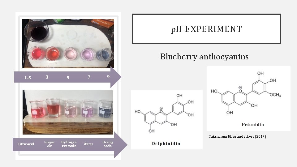 p. H EXPERIMENT Blueberry anthocyanins 1. 5 3 5 7 9 Taken from Khoo