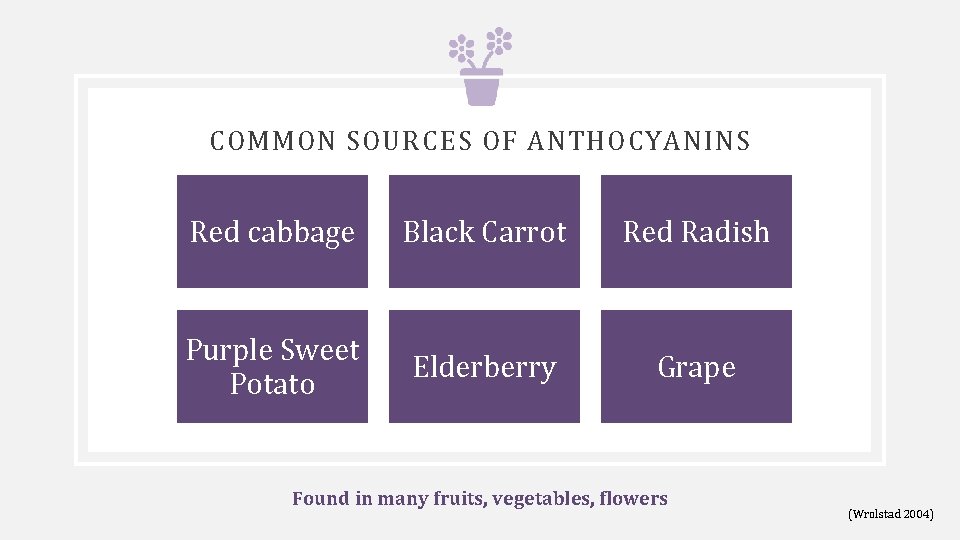COMMON SOURCES OF ANTHOCYANINS Red cabbage Black Carrot Red Radish Purple Sweet Potato Elderberry