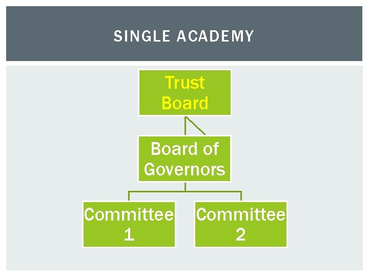 SINGLE ACADEMY Trust Board of Governors Committee 1 Committee 2 