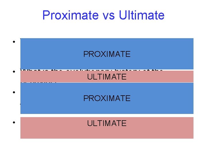 Proximate vs Ultimate • What is the mechanistic basis of the behavior, including chemical,