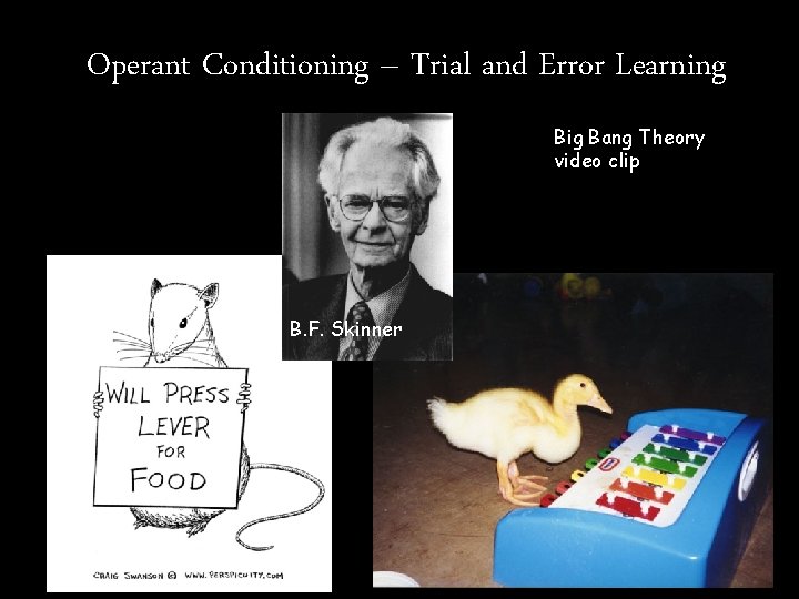 Operant Conditioning – Trial and Error Learning Big Bang Theory video clip B. F.