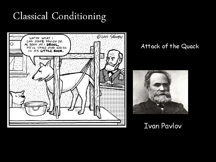 Classical Conditioning Attack of the Quack Ivan Pavlov 