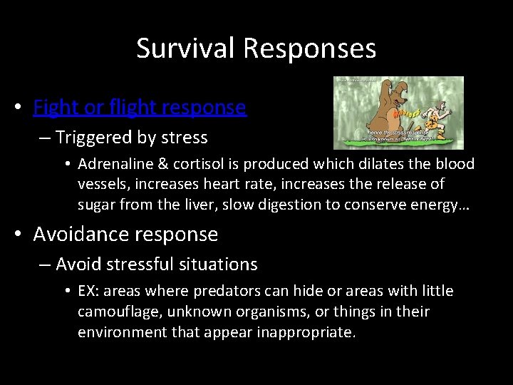 Survival Responses • Fight or flight response – Triggered by stress • Adrenaline &