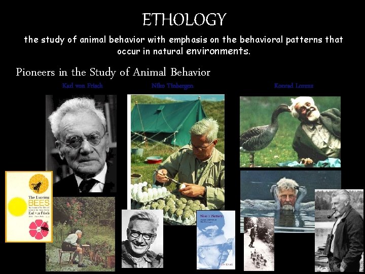 ETHOLOGY the study of animal behavior with emphasis on the behavioral patterns that occur