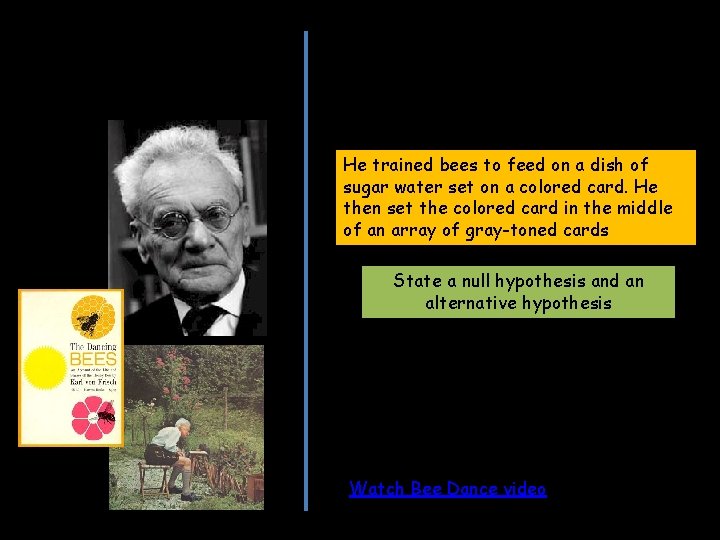 Karl von Frisch Two major discoveries about honey bees. First, he demonstrated that honey