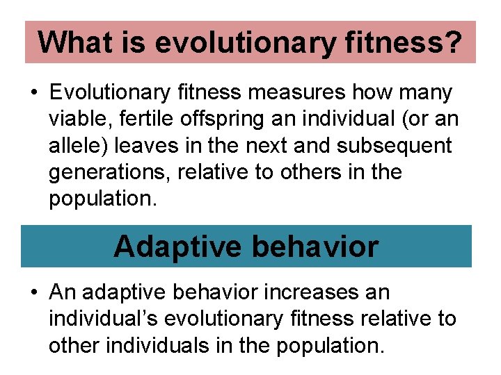 What is evolutionary fitness? • Evolutionary fitness measures how many viable, fertile offspring an