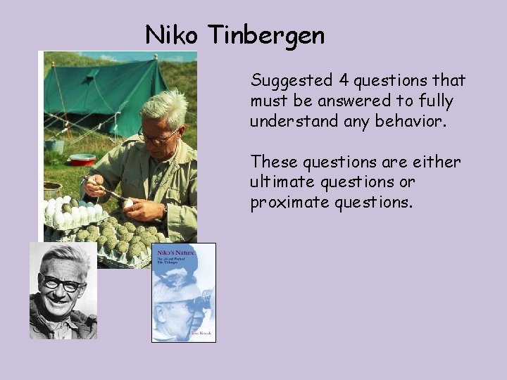 Niko Tinbergen Suggested 4 questions that must be answered to fully understand any behavior.