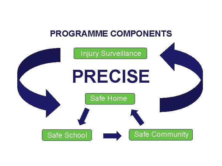 PROGRAMME COMPONENTS Injury Surveillance PRECISE Safe Home Safe School Safe Community 