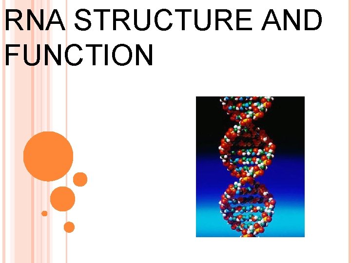 RNA STRUCTURE AND FUNCTION 