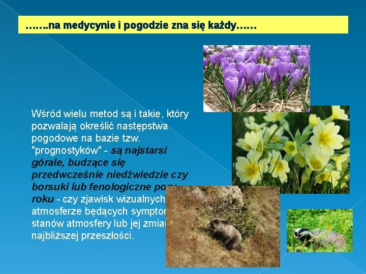 ……. na medycynie i pogodzie zna się każdy…… Wśród wielu metod są i takie,