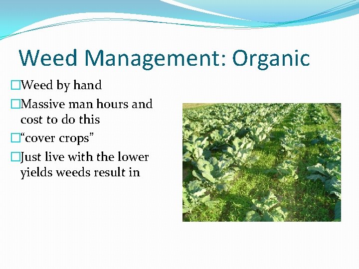 Weed Management: Organic �Weed by hand �Massive man hours and cost to do this