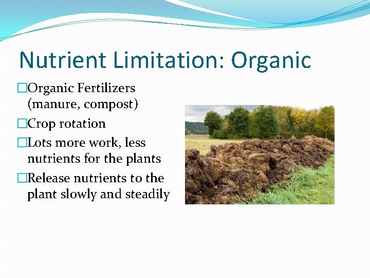 Nutrient Limitation: Organic �Organic Fertilizers (manure, compost) �Crop rotation �Lots more work, less nutrients