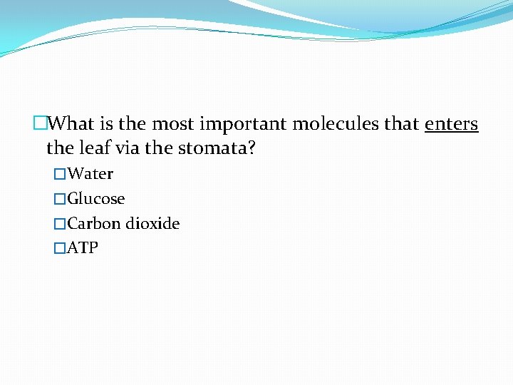 �What is the most important molecules that enters the leaf via the stomata? �Water