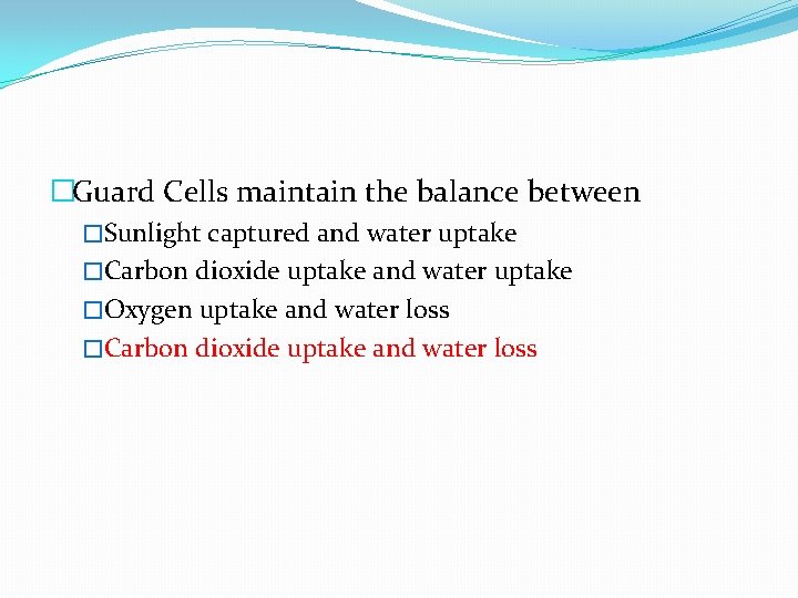 �Guard Cells maintain the balance between �Sunlight captured and water uptake �Carbon dioxide uptake