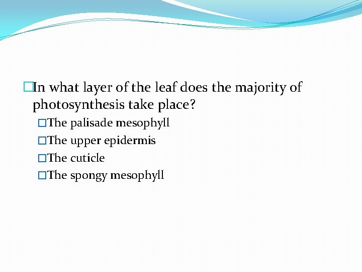 �In what layer of the leaf does the majority of photosynthesis take place? �The