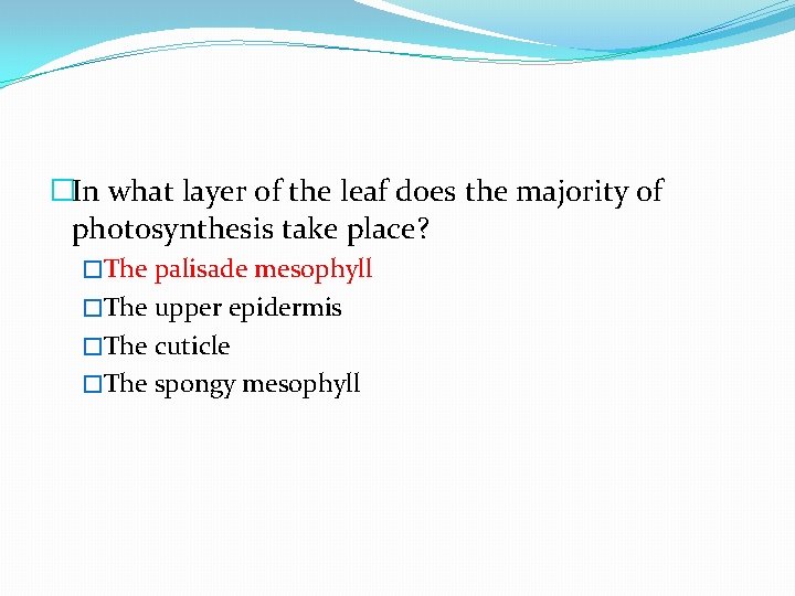 �In what layer of the leaf does the majority of photosynthesis take place? �The