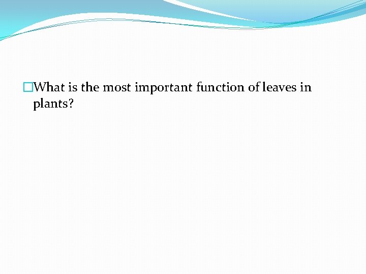 �What is the most important function of leaves in plants? 