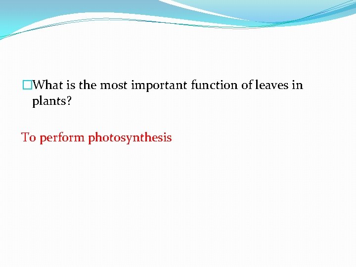 �What is the most important function of leaves in plants? To perform photosynthesis 