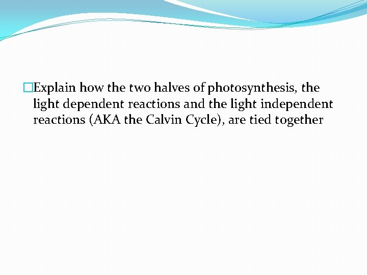 �Explain how the two halves of photosynthesis, the light dependent reactions and the light