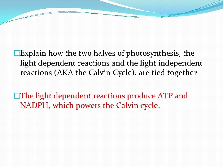 �Explain how the two halves of photosynthesis, the light dependent reactions and the light