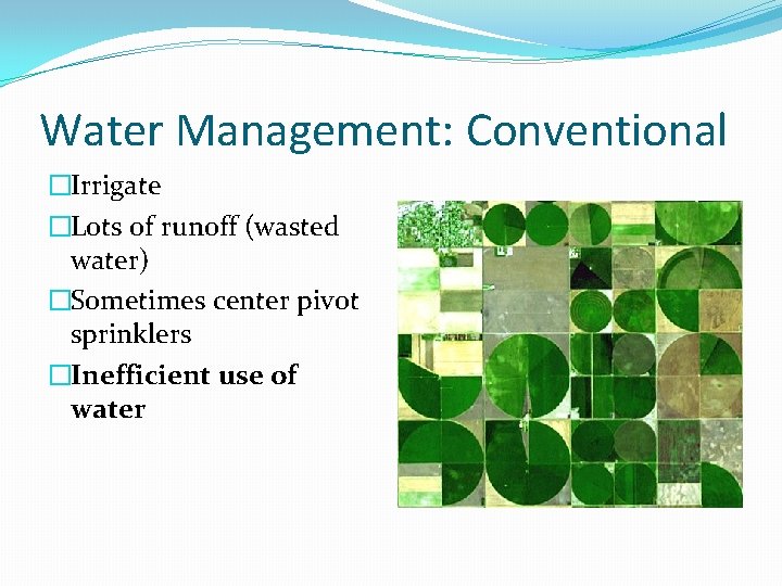 Water Management: Conventional �Irrigate �Lots of runoff (wasted water) �Sometimes center pivot sprinklers �Inefficient