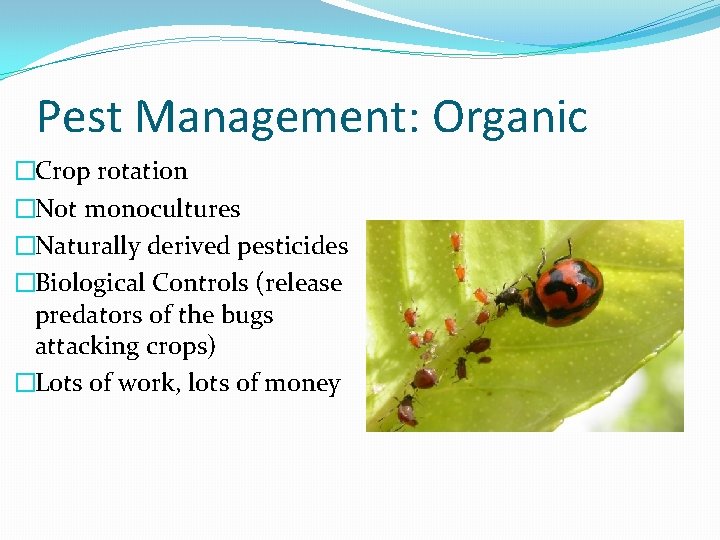 Pest Management: Organic �Crop rotation �Not monocultures �Naturally derived pesticides �Biological Controls (release predators