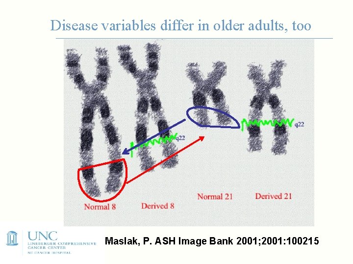 Disease variables differ in older adults, too Maslak, P. ASH Image Bank 2001; 2001: