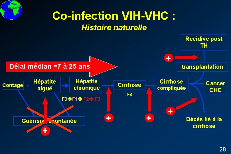 DIU Bujumbura 2008 Co-infection VIH-VHC : Histoire naturelle Recidive post TH + Délai médian