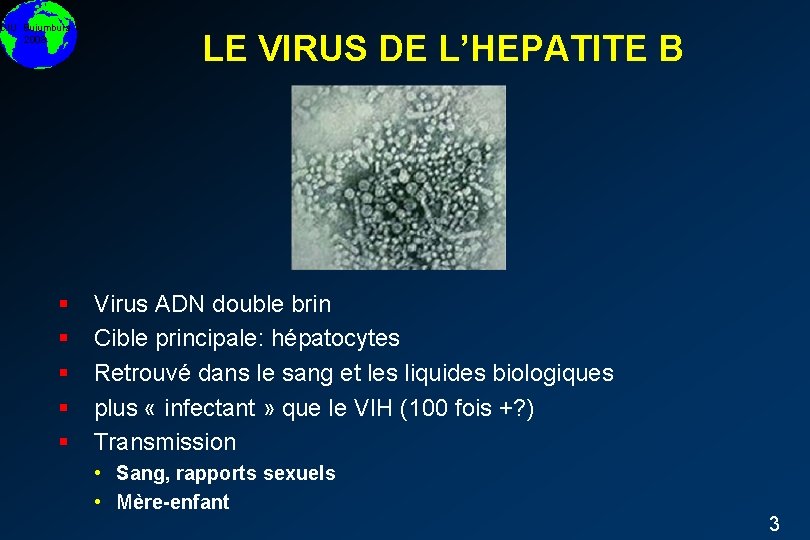 DIU Bujumbura 2008 § § § LE VIRUS DE L’HEPATITE B Virus ADN double