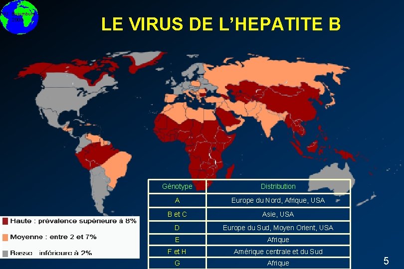 DIU Bujumbura 2008 LE VIRUS DE L’HEPATITE B Génotype Distribution A Europe du Nord,