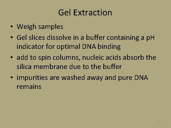Gel Extraction • Weigh samples • Gel slices dissolve in a buffer containing a