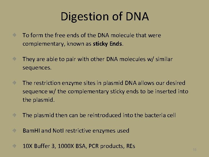 Digestion of DNA To form the free ends of the DNA molecule that were