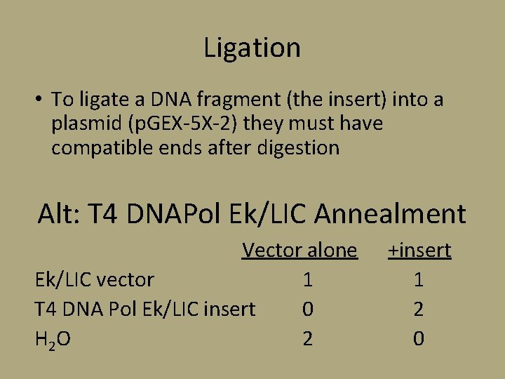 Ligation • To ligate a DNA fragment (the insert) into a plasmid (p. GEX-5