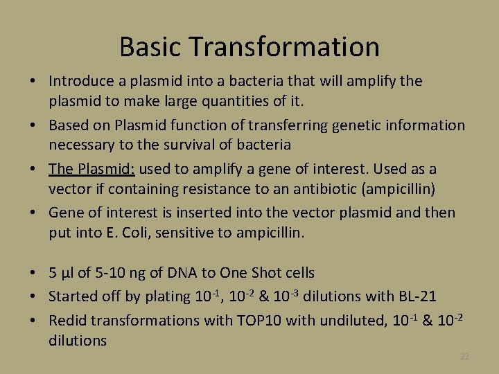 Basic Transformation • Introduce a plasmid into a bacteria that will amplify the plasmid