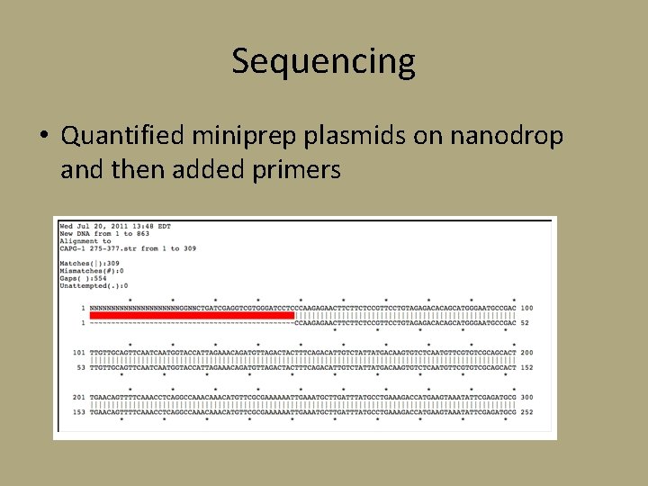 Sequencing • Quantified miniprep plasmids on nanodrop and then added primers 