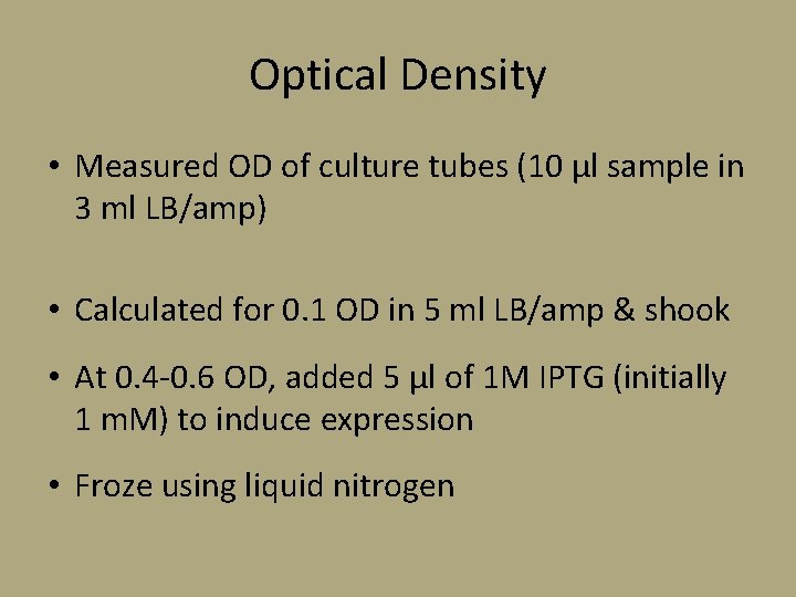 Optical Density • Measured OD of culture tubes (10 µl sample in 3 ml