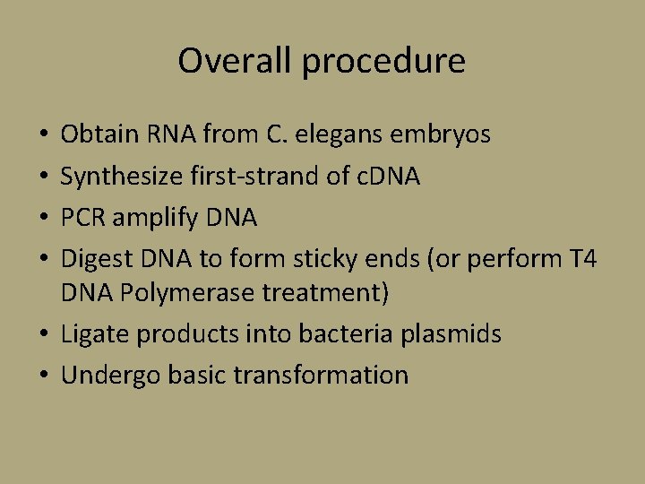 Overall procedure Obtain RNA from C. elegans embryos Synthesize first-strand of c. DNA PCR