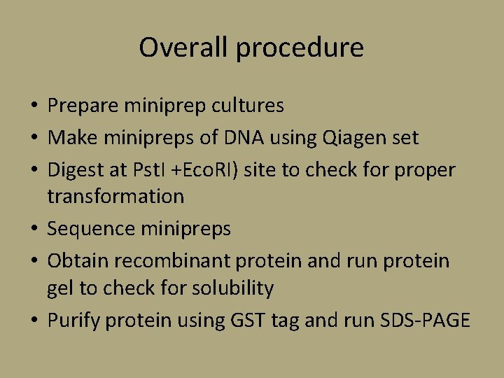 Overall procedure • Prepare miniprep cultures • Make minipreps of DNA using Qiagen set