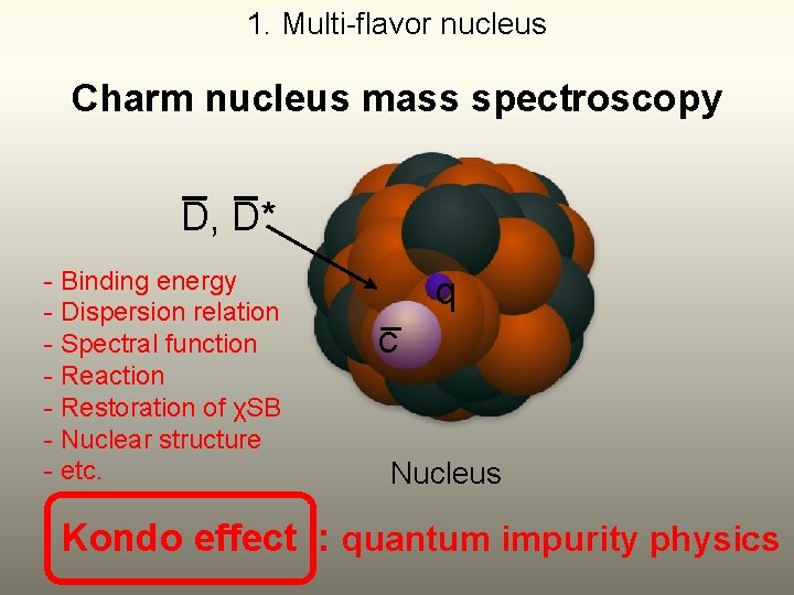 1. Multi-flavor nucleus Charm nucleus mass spectroscopy D, D* - Binding energy - Dispersion