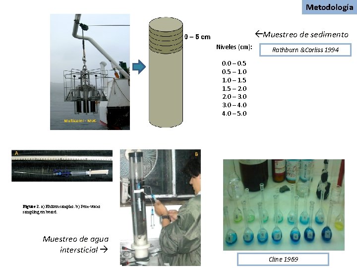 Metodología Muestreo de sedimento Niveles (cm): Rathburn &Corliss 1994 0. 0 – 0. 5