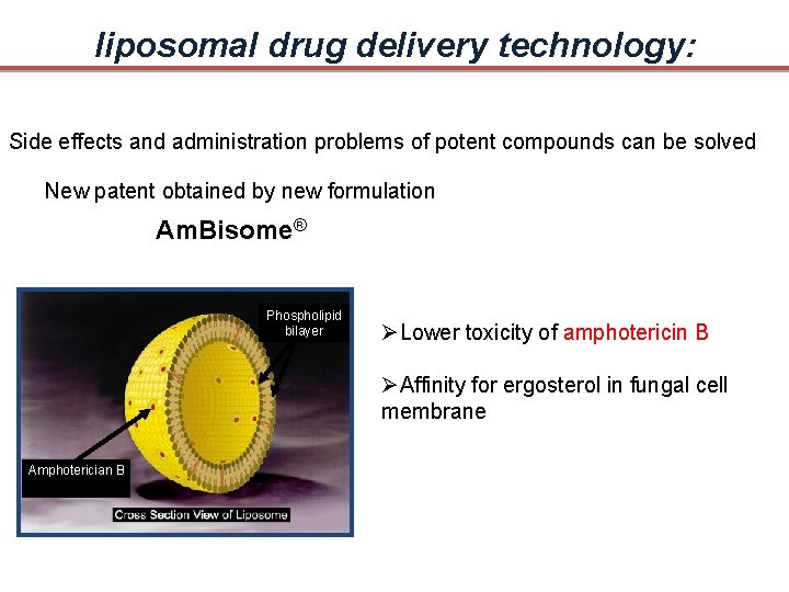 liposomal drug delivery technology: Side effects and administration problems of potent compounds can be