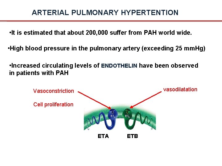 ARTERIAL PULMONARY HYPERTENTION • It is estimated that about 200, 000 suffer from PAH