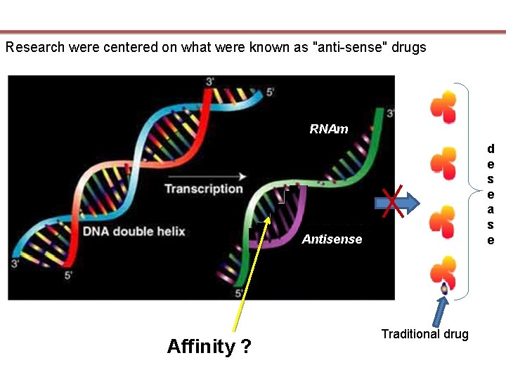 Research were centered on what were known as "anti-sense" drugs RNAm d e s